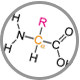 highest level of amino acids per calorie icon - For HCPs